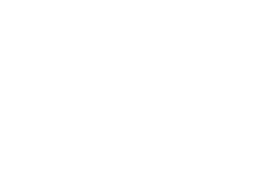 prolyte